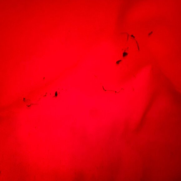 Telfar medium azalea shopping bag - Picture 5 of 8